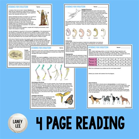 Evidence for Evolution - Reading & Worksheets - PDF & Digital Versions